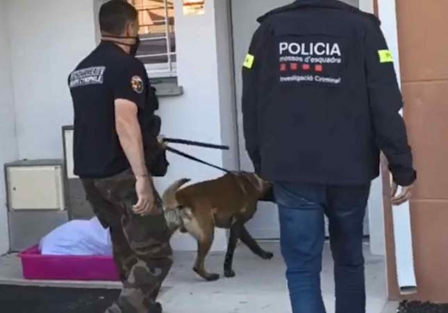 Los viajes exprés desde Perpiñán de una pareja para colar billetes falsos de 50 y 100 euros por Catalunya