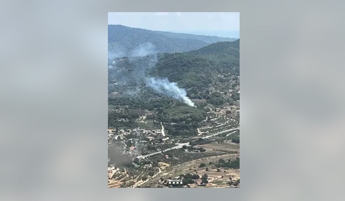 Estabilizado un incendio forestal en Alforja (Tarragona)