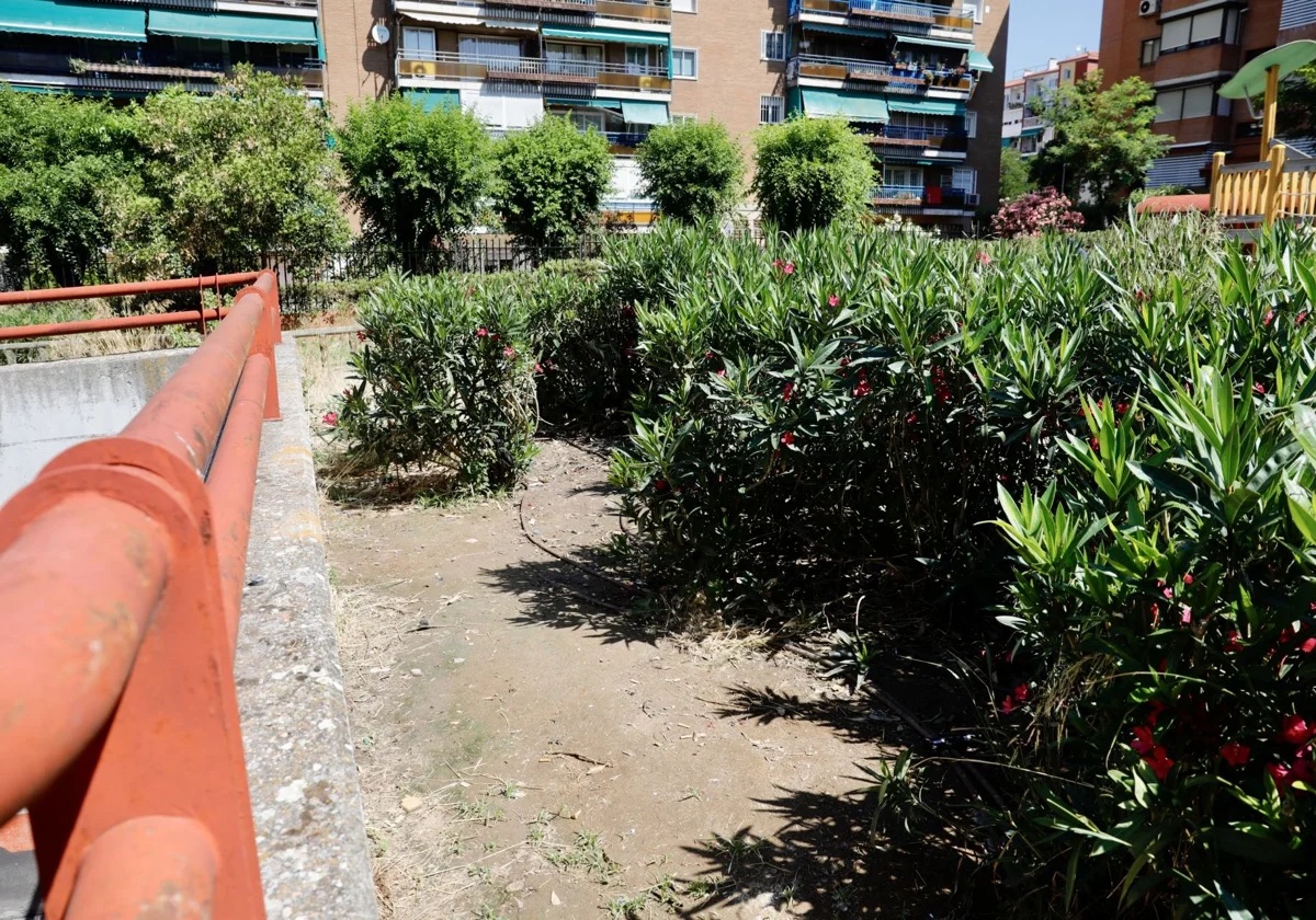 Seis pandilleros, tres de ellos menores, detenidos en Madrid en el marco de la lucha contra las bandas latinas