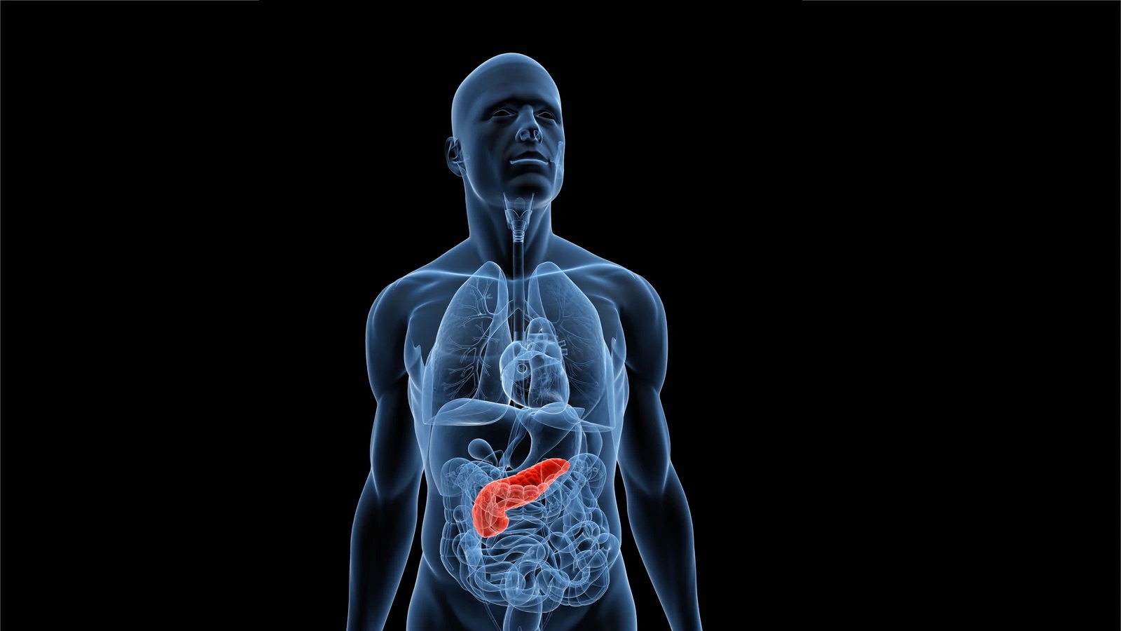 Alerta por un posible fallo en las bombas de insulina t:slim X2 que detiene la administración del tratamiento