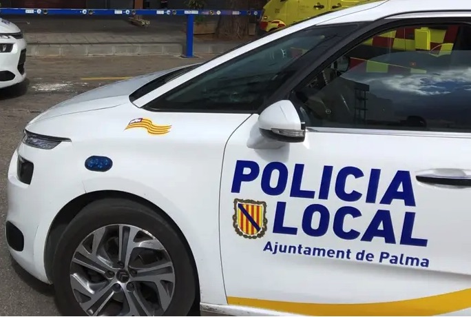 Detenido un joven por robar con violencia perfumes por valor de 240 euros en Palma