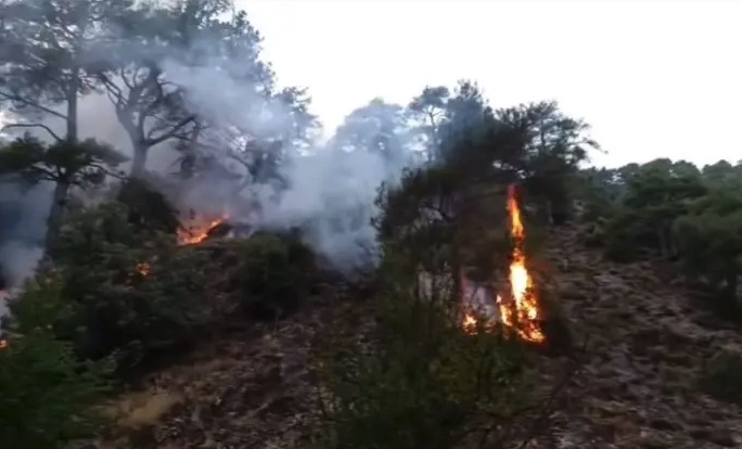 Extinguido un incendio en Los Palancares (Cuenca) gracias a la alerta de un policía fuera de servicio