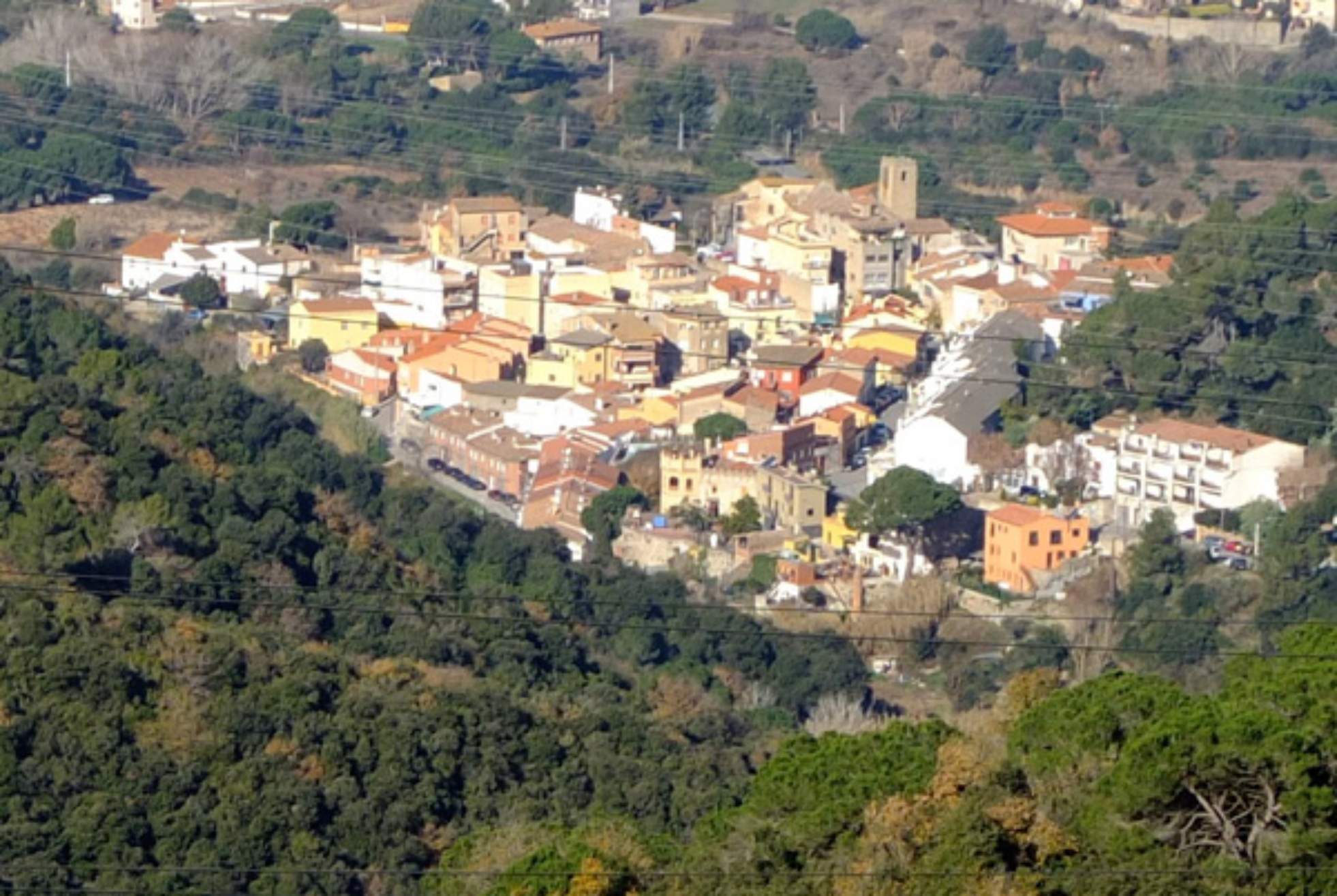 Cadáver en descomposición hallado en zona boscosa de Santa Maria de Martorelles
