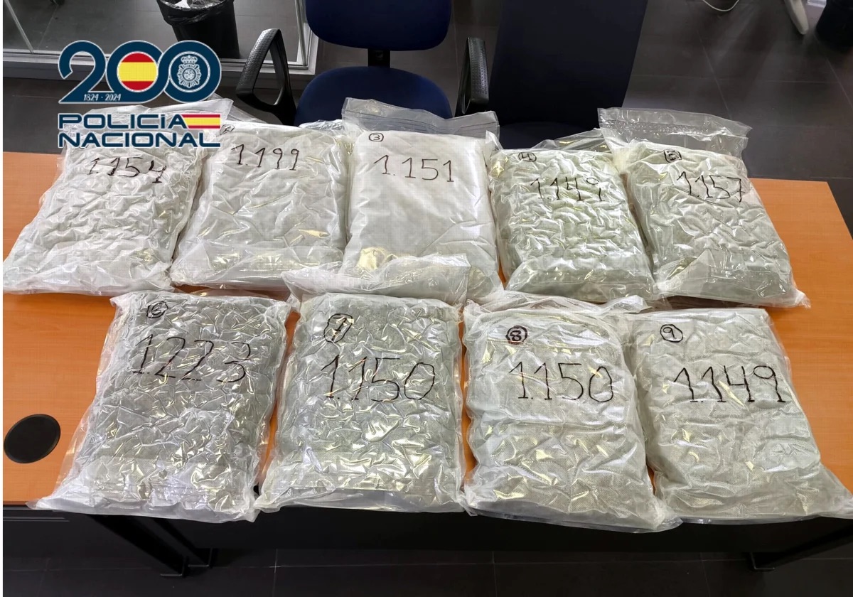 Detenido en Valencia uno de los mayores traficantes mayoristas de marihuana de Europa con 800 kilos incautados