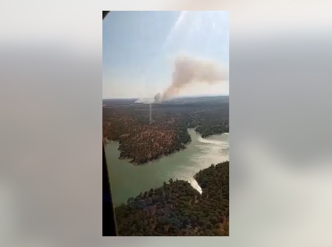 Extinguido el incendio forestal declarado en el paraje de la Dehesa del Piorno en Lepe