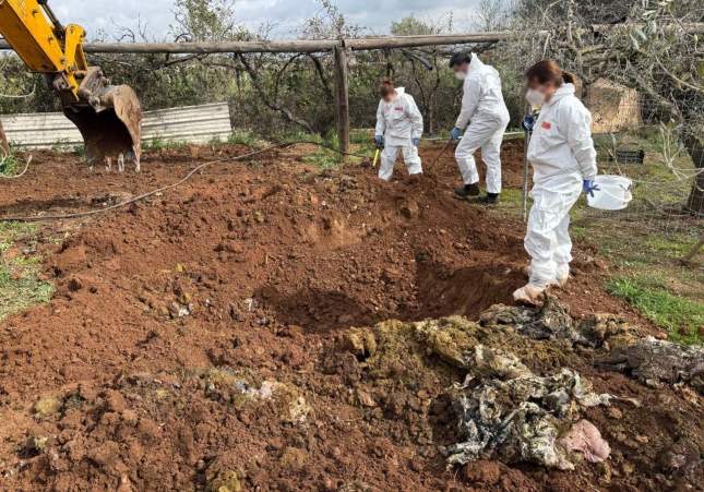 Los ganaderos catalanes, desesperados ante la oleada de robos de corderos a pocos días de la fiesta islámica