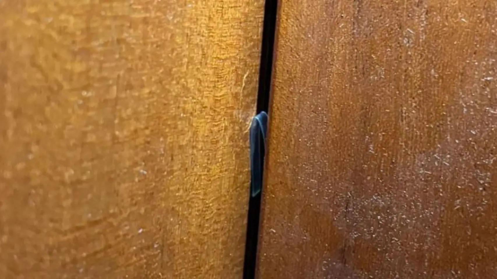 Detenido 'in fraganti' un ladrón mientras intentaba robar en un piso del Eixample con un plástico