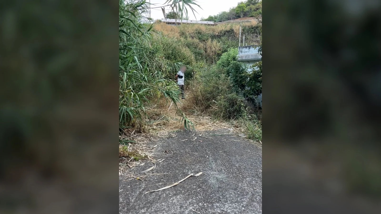 Detenido un hombre en Moya (Gran Canaria) por intentar provocar un incendio forestal gracias a los vecinos