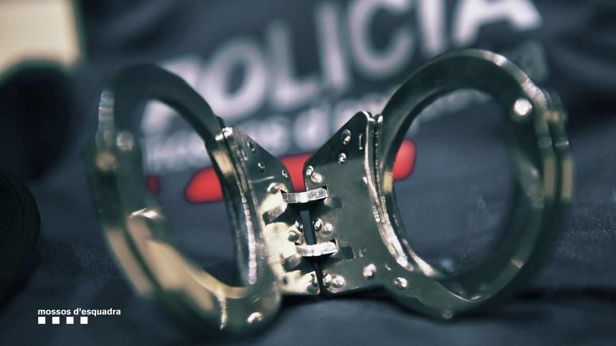 Detenido un docente en Sevilla por tenencia y distribución de pornografía infantil en una operación internacional