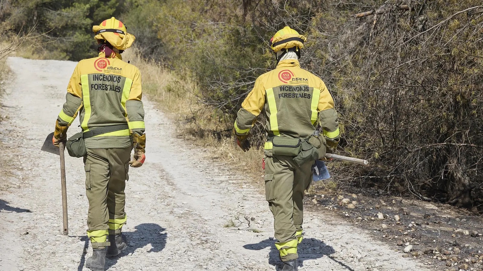 Un incendio forestal obliga a evacuar viviendas y confinar urbanizaciones en Villa del Prado (Madrid)