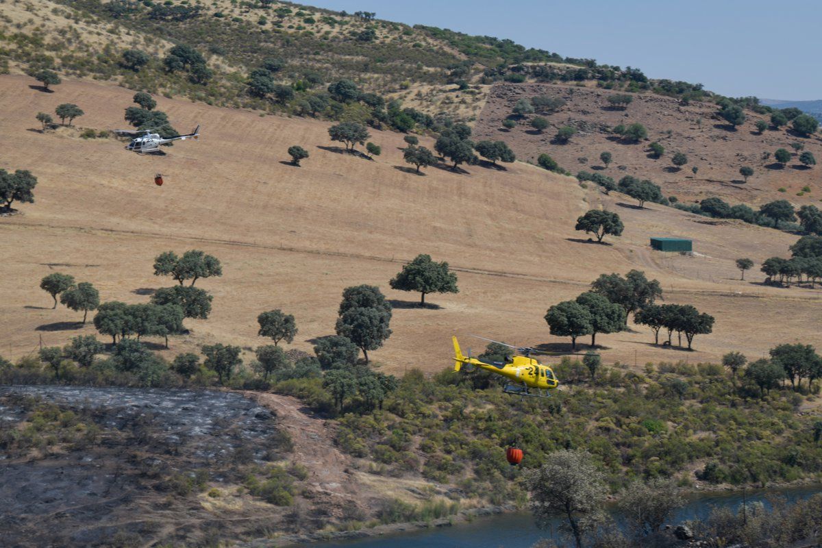 Incendio forestal en Huertezuelas, Calzada de Calatrava (Ciudad Real)