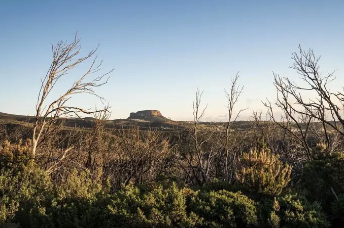 La Gomera cierra su red de senderos y pistas forestales por riesgo extremo de incendios