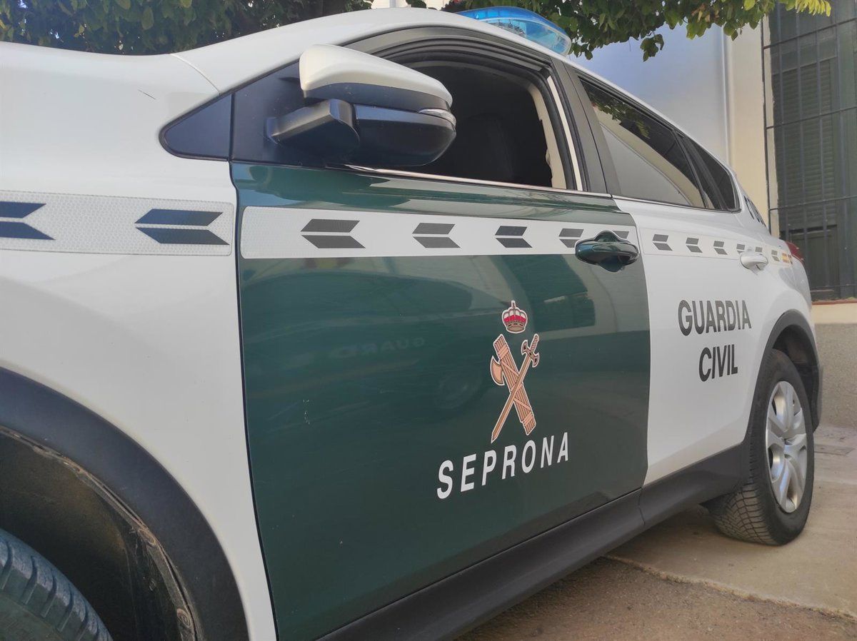 Pesca ilegal: trasmallo de más de 1.000 metros calado en la Bahía de Cádiz