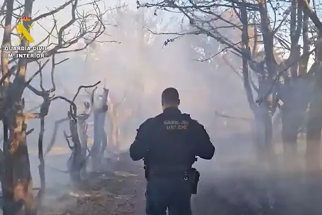 Cuatro detenidos por provocar varios incendios en la Comunidad de Madrid durante el mes de julio