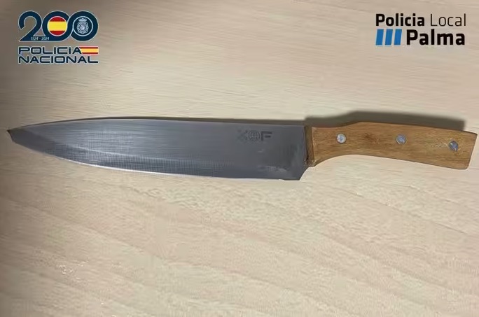 Detenido en Palma por intentar matar a su expareja; arrestado también el acompañante de la víctima por morderle la oreja
