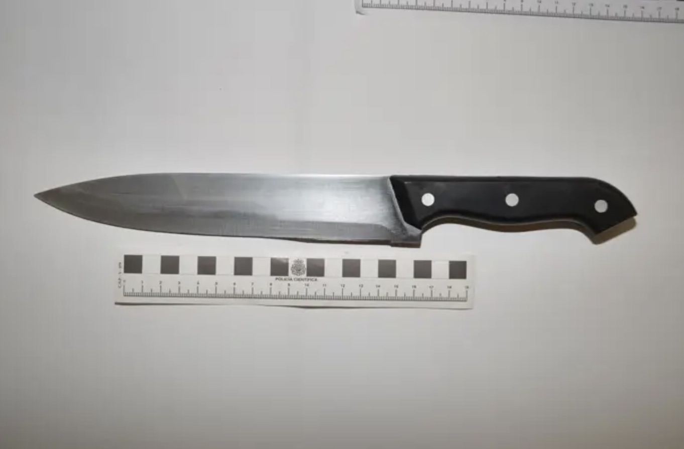 Detenido en Soria un hombre por amenazar de muerte a un comerciante con cuchillo y agredir a varios policía