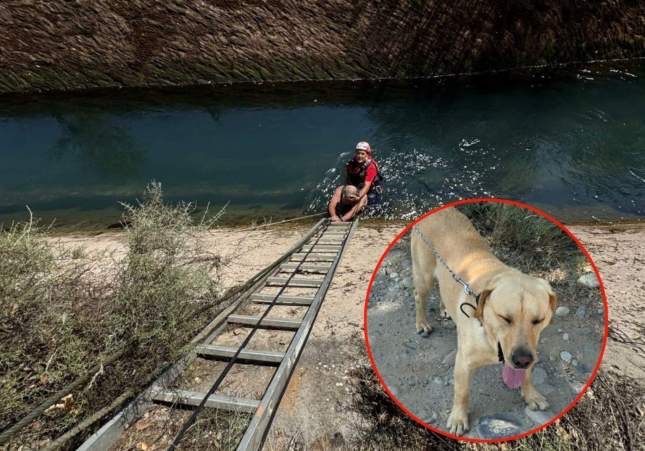 Rescatado un hombre que se tiró a un canal en Tremp para salvar a su perro