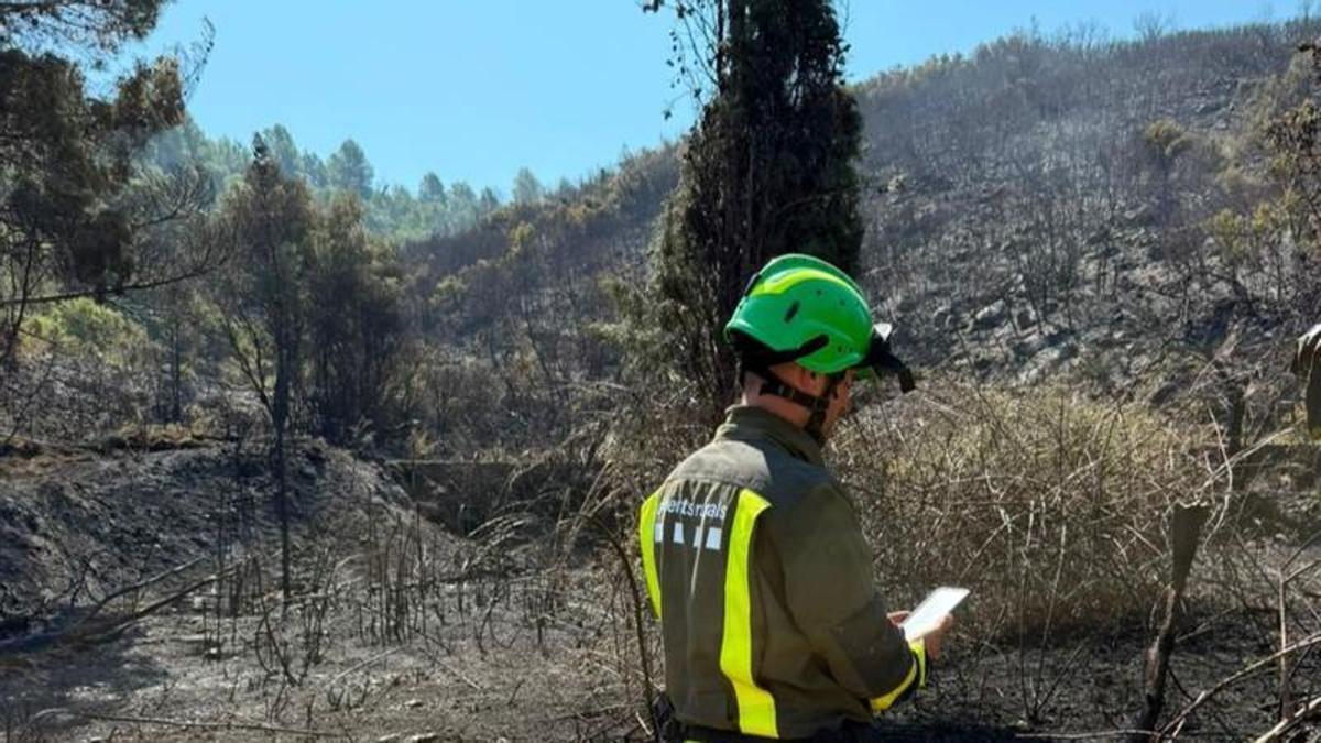 Incendio de vegetación en La Sénia (Tarragona)