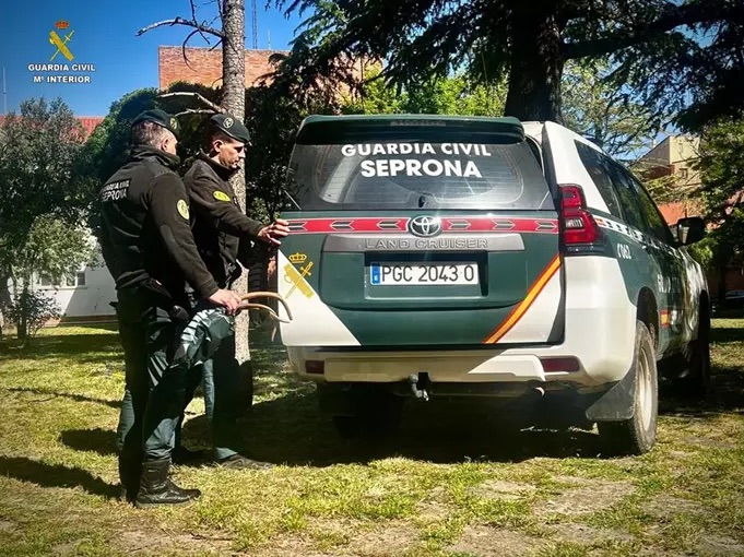 Investigan a un joven de 20 años en Cuenca por guardar 15 trofeos de caza mayor en un arcón frigorífico