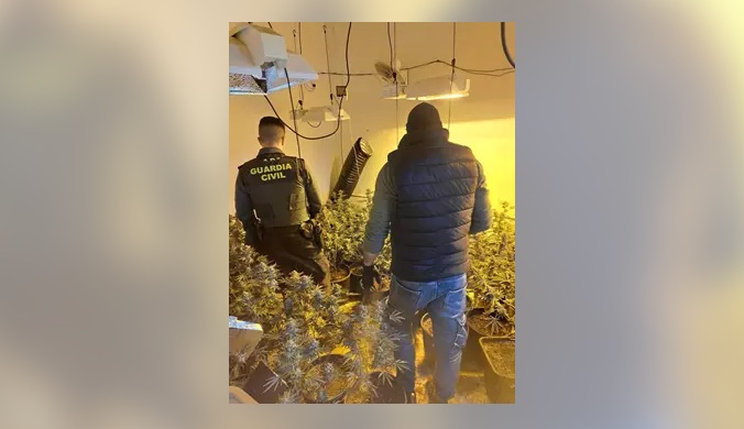 Desmantelada una plantación 'indoor' de marihuana en una vivienda de Empuriabrava
