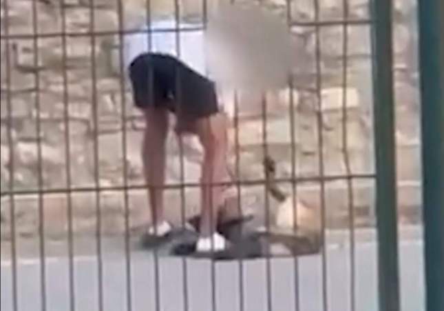 Investigado un hombre en Calaf (Barcelona) por maltratar a su perro tras viralizarse un vídeo de la agresión