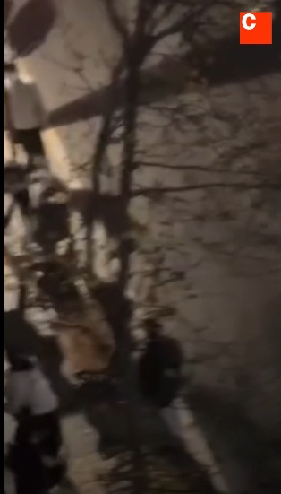 Una multitudinaria pelea de madrugada alerta a los vecinos de la calle Gasòmetre en el centro de Tarragona