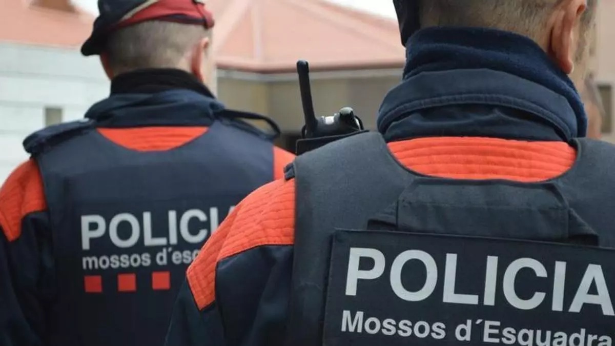 Detenida una mujer en Tortosa por la difusión continuada de mensajes de odio y racistas en redes sociales
