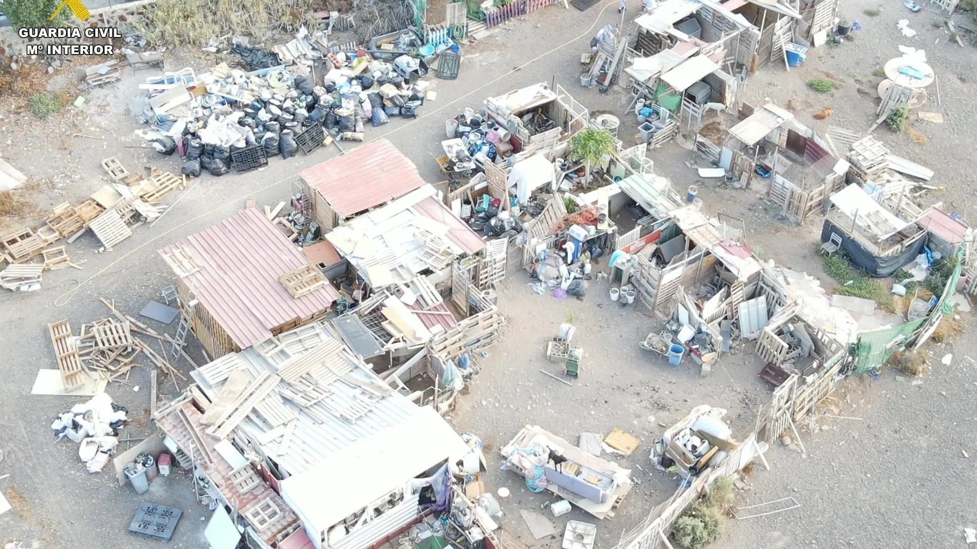 La Guardia Civil desmantela una protectora ilegal: 30 animales incautados, su presidenta investigada por maltrato animal