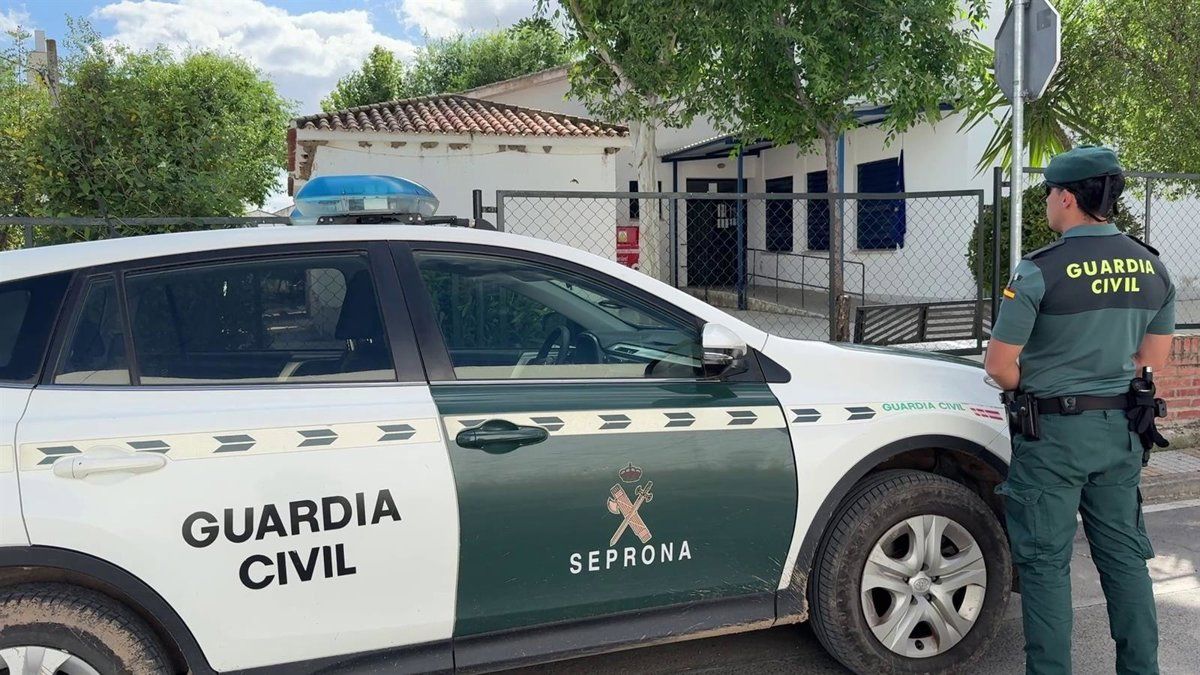 Investigadas tres personas por destruir nidos de avión común en Córdoba