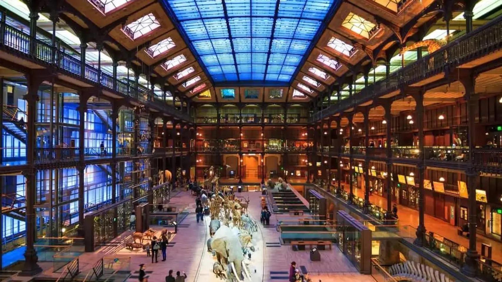 Detenida en Barcelona una mujer china por el robo de seis kilos de oro del Museo de Historia Natural de París