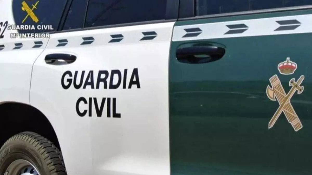 Un hombre detenido en Roquetas de Mar tras intentar degollar a su pareja, que estaba en el sistema VioGén