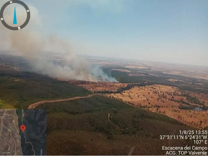 Declarado un incendio forestal en el paraje Los Carneros de Escacena del Campo (Huelva)