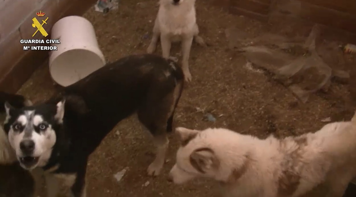 Extraditan desde Venezuela al dueño del 'criadero de los horrores' de Melgar, huido desde 2020