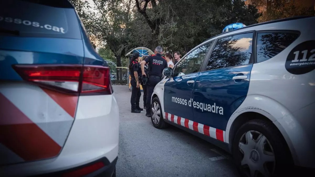 Detenido en Organyà por intentar matar a un hombre y asesinar a su perro con un coche