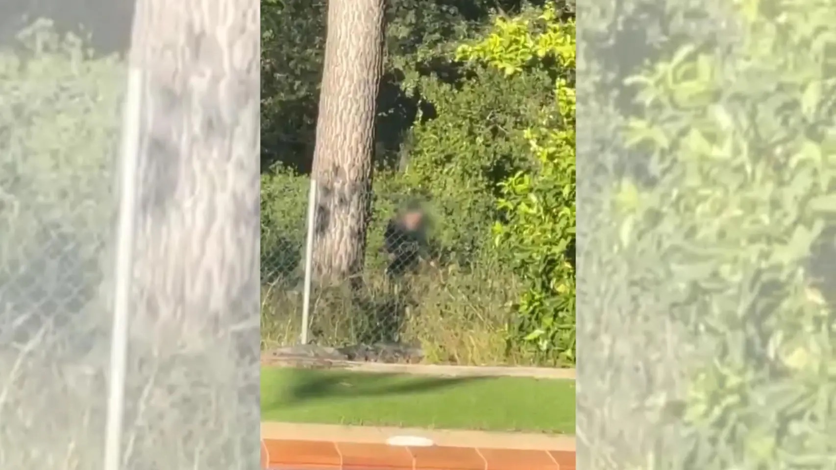 Pillan 'in fraganti' a dos ladrones que intentaban asaltar una casa a plena luz del día en Bellaterra