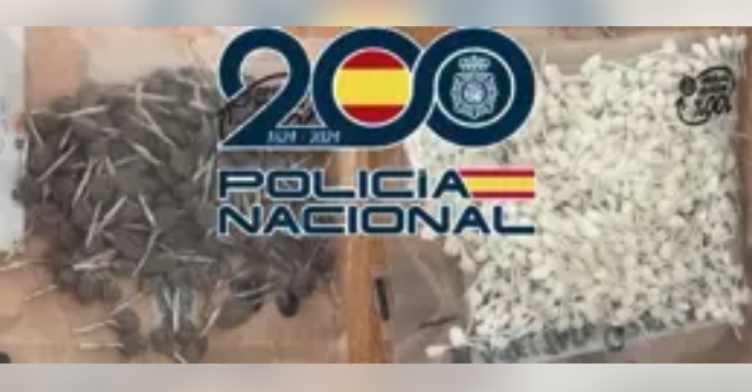 Desarticulan un activo punto de venta de drogas en Estepona e incautan más de 600 papelinas de cocaína y heroína