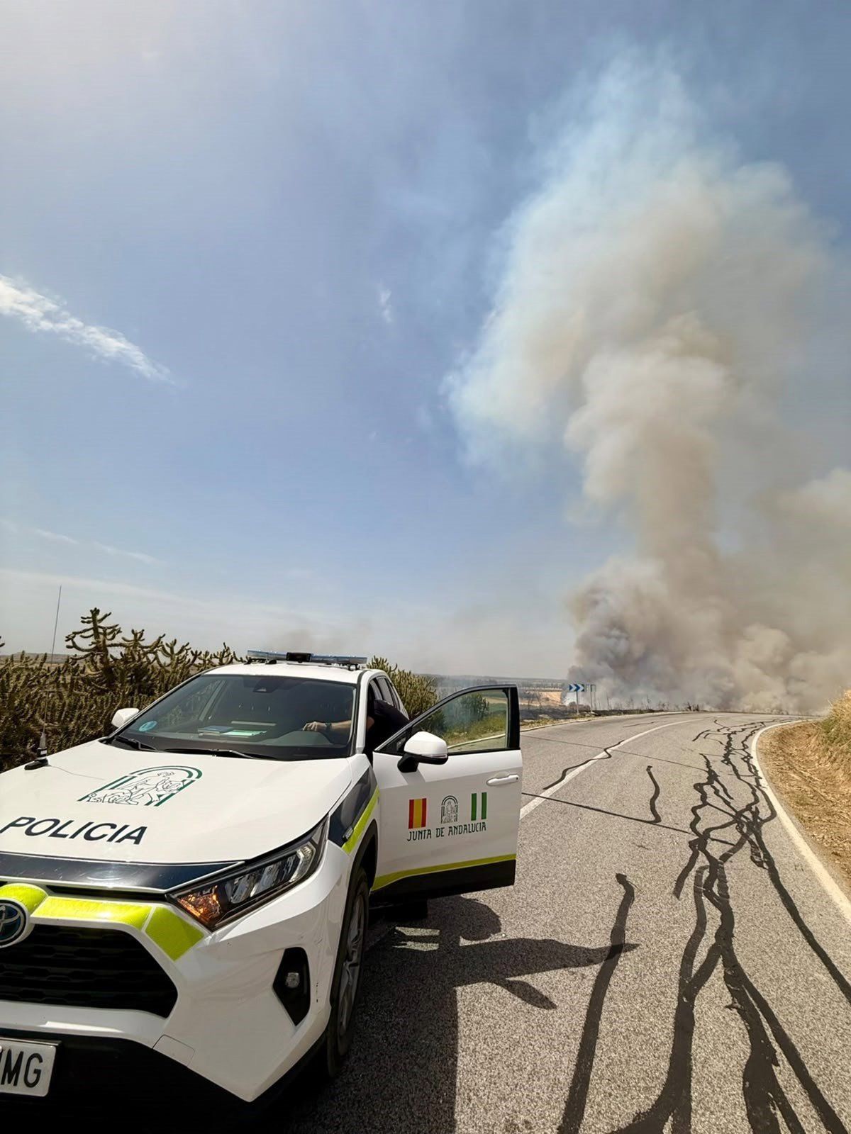 Incendio en el paraje Portugalejo, Canillas de Aceituno (Málaga)