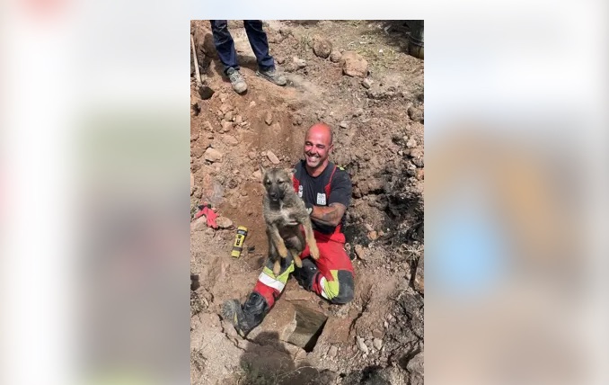 Bomberos rescatan a un cachorro atrapado en una tubería bajo una carretera de Cantabria