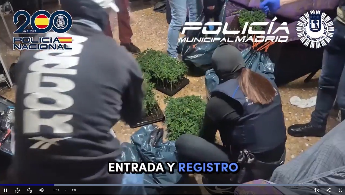 Cae un clan familiar y se desmantelan cuatro narcopisos en los distritos de Puente de Vallecas y Centro