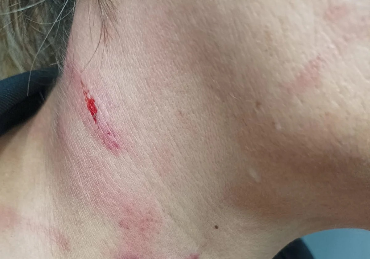 Brutal agresión a una funcionaria de la cárcel de Picassent: “Te tengo que matar”