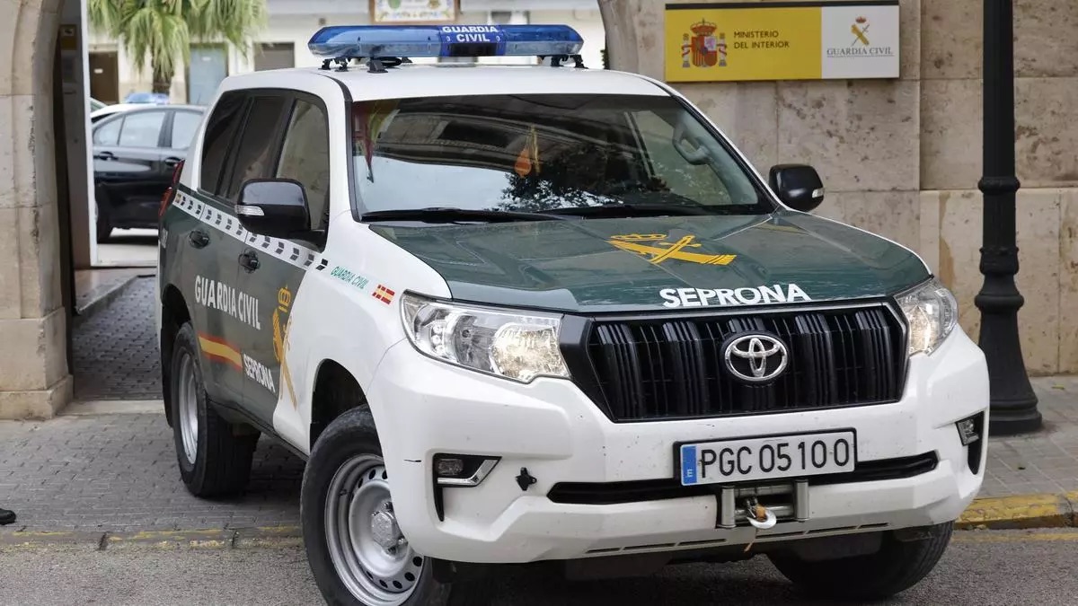 Detenido un hombre y una mujer investigada por ahogar a un perro atado a bloques de hormigón en una laguna