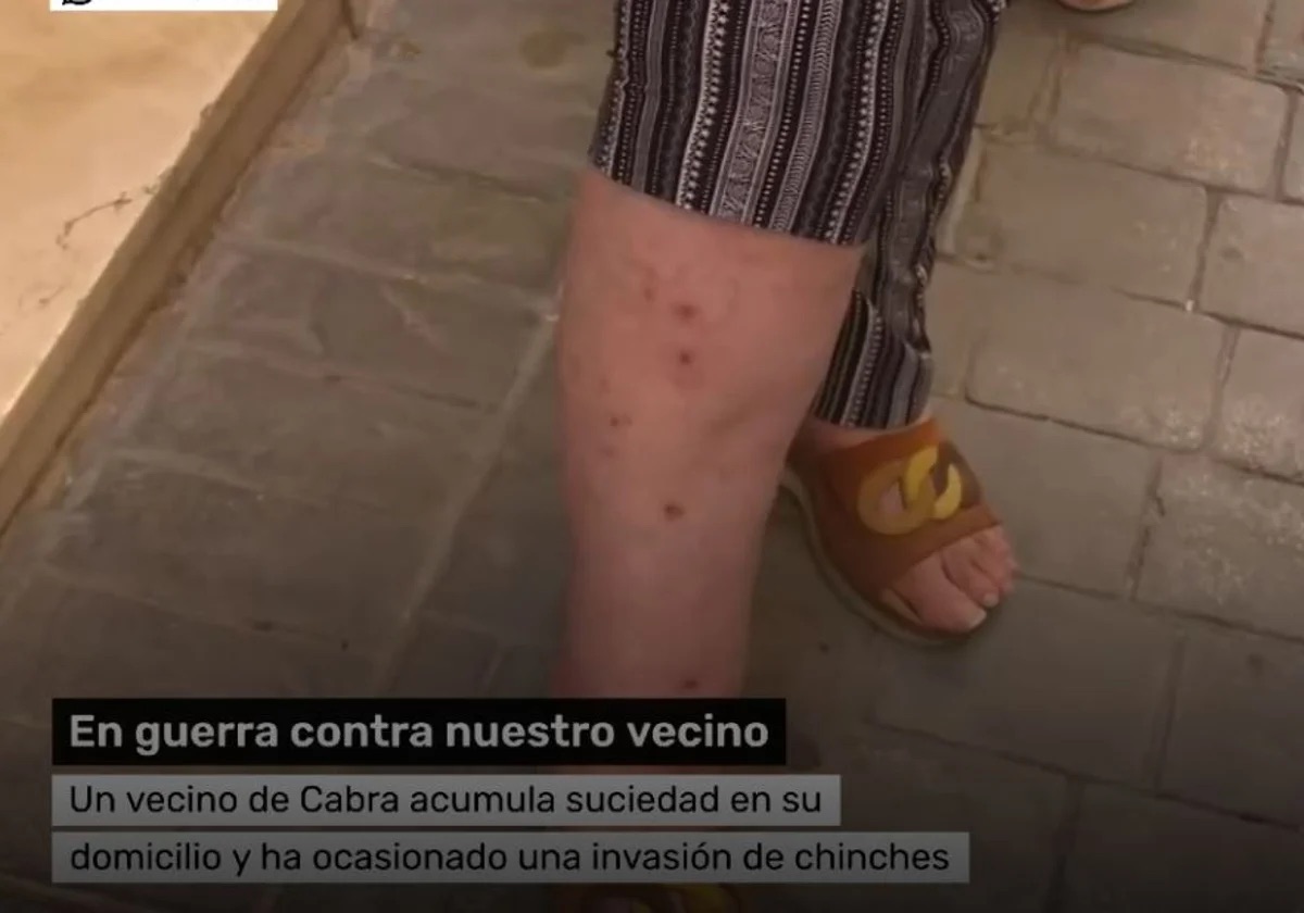 Una plaga de chinches por la acumulación de basura en una vivienda de Cabra (Córdoba) genera alarma vecinal