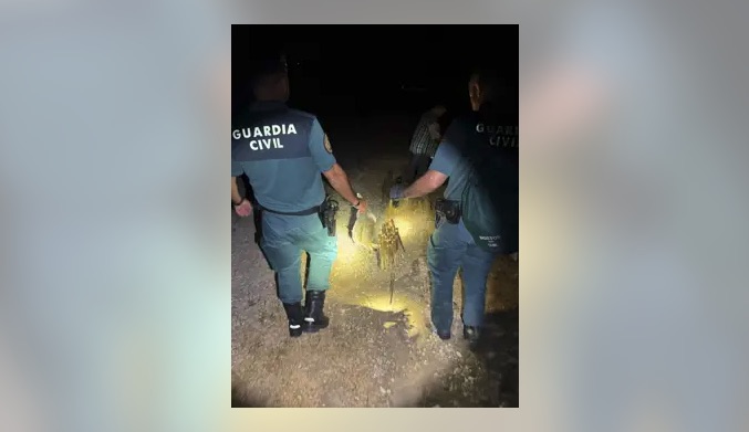 Investigado un cazador furtivo reincidente tras ser sorprendido 'in fraganti' en Medina Sidonia