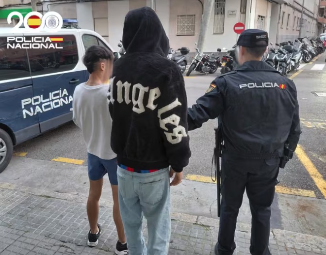 Detenidos dos jóvenes tras tirar al suelo a una mujer y robarle el bolso cuando paseaba a su perro en Palma