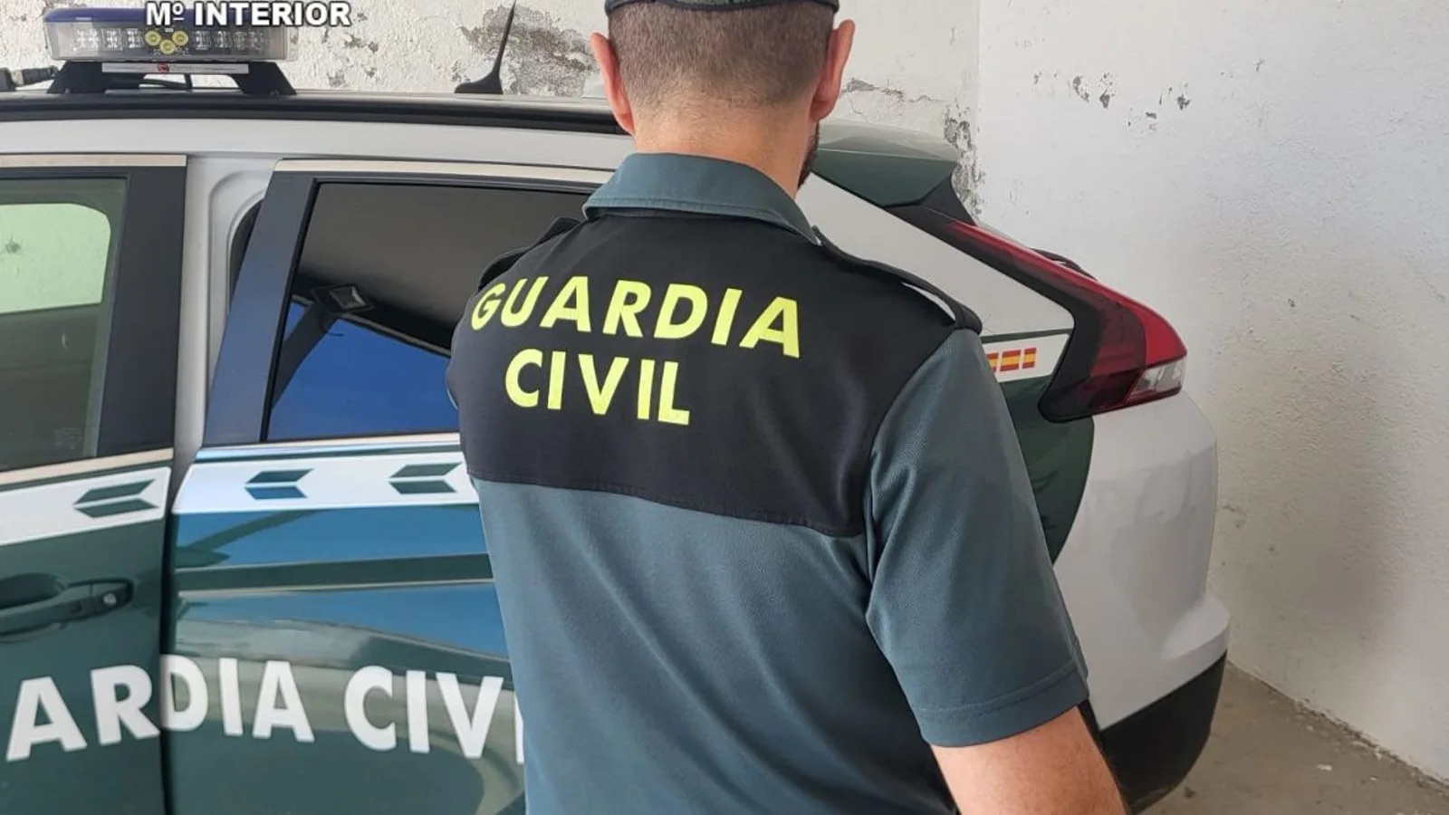 Desmantelada en Tenerife una red organizada de carteristas con 80 detenidos