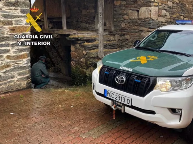 Investigada una mujer por la muerte de dos gatos por envenenamiento en Páramo del Sil