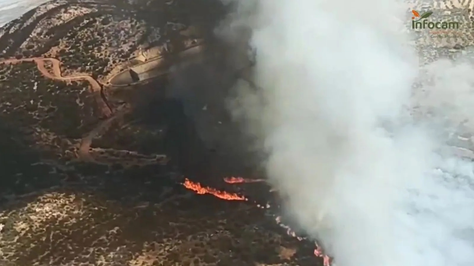 Amplio despliegue para extinguir un incendio forestal declarado en Puertollano