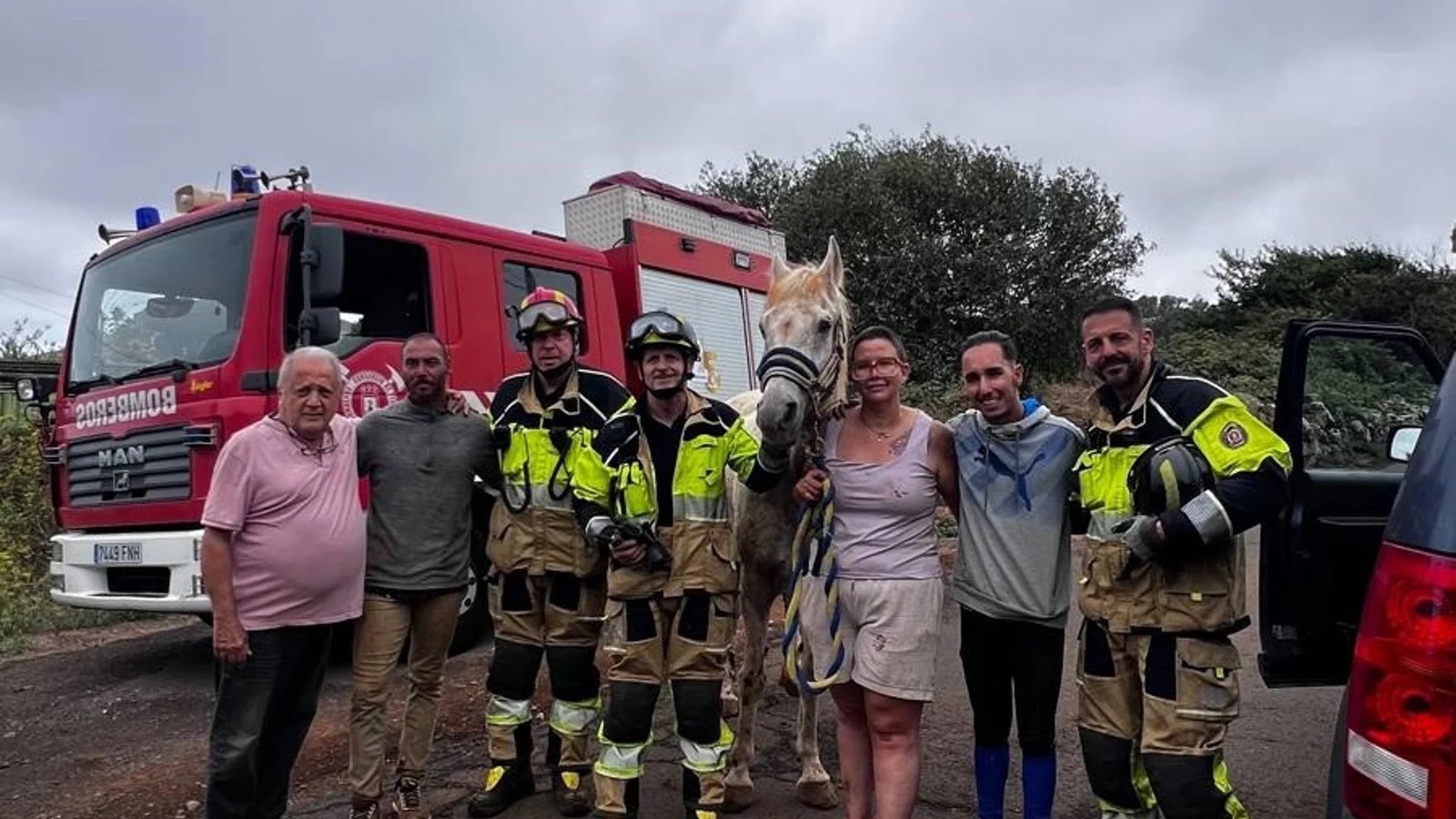 Los bomberos rescatan a un caballo que cayó a un barranco de 15 metros en Tenerife