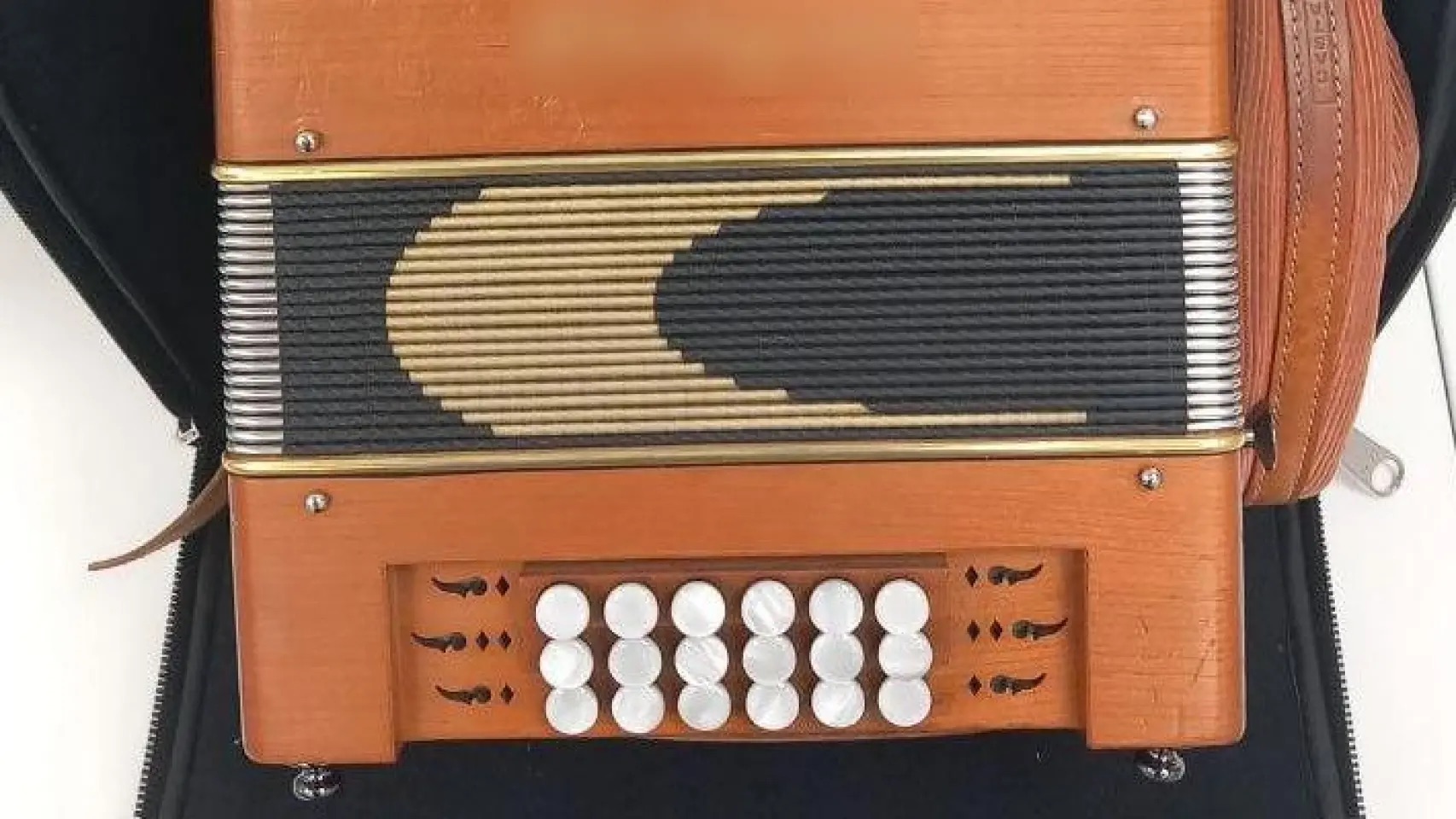 Recuperan en Francia un singular acordeón de 5.000€ que fue robado en un tren con destino Reus