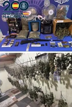 Detenido en Ponferrada tras desmantelar la Policía un cultivo 'indoor' de marihuana y un laboratorio en una nave
